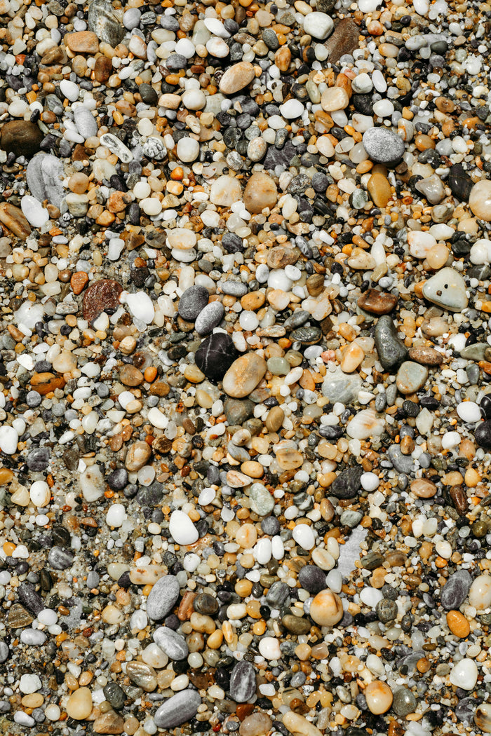 Scalp health: the foundation of beautiful hair